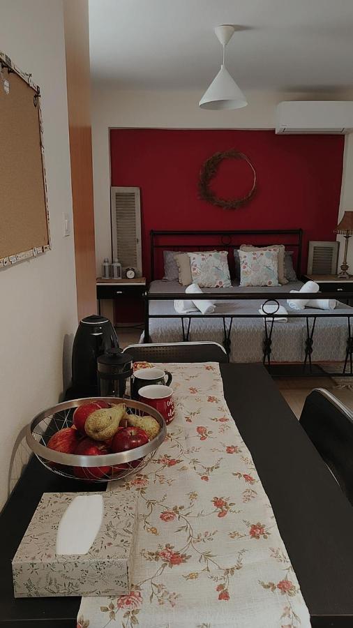 Amaltheia Studio Apartment Ioannina Ngoại thất bức ảnh