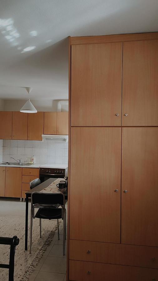 Amaltheia Studio Apartment Ioannina Ngoại thất bức ảnh