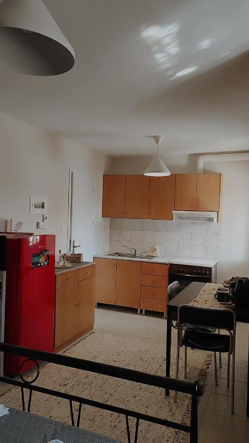 Amaltheia Studio Apartment Ioannina Ngoại thất bức ảnh